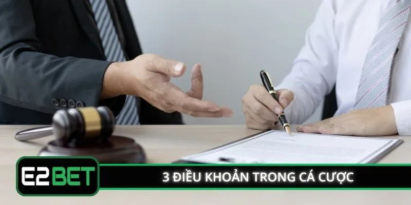 3 điều khoản và điều kiện trong cá cược