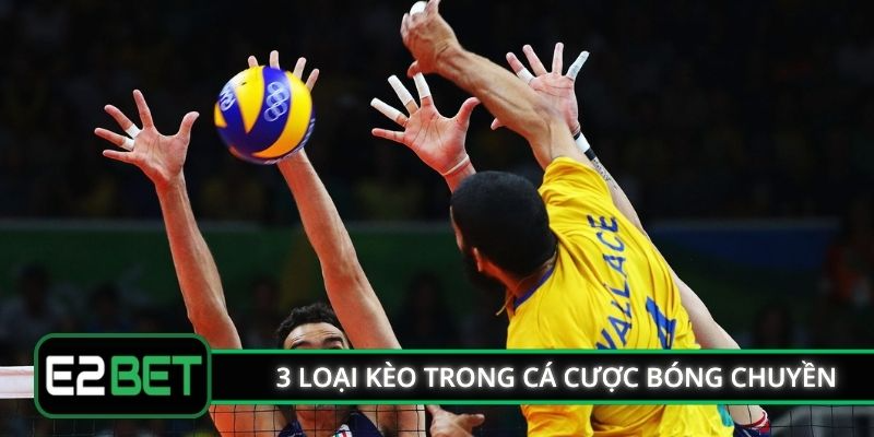 3 loại kèo trong cá cược bóng chuyền 
