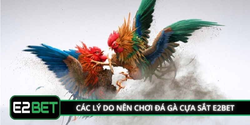 Các lý do nên chơi đá gà cựa sắt E2BET