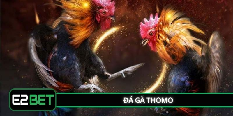 Đá Gà Thomo