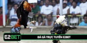 Đá Gà Trực Tuyến E2BET