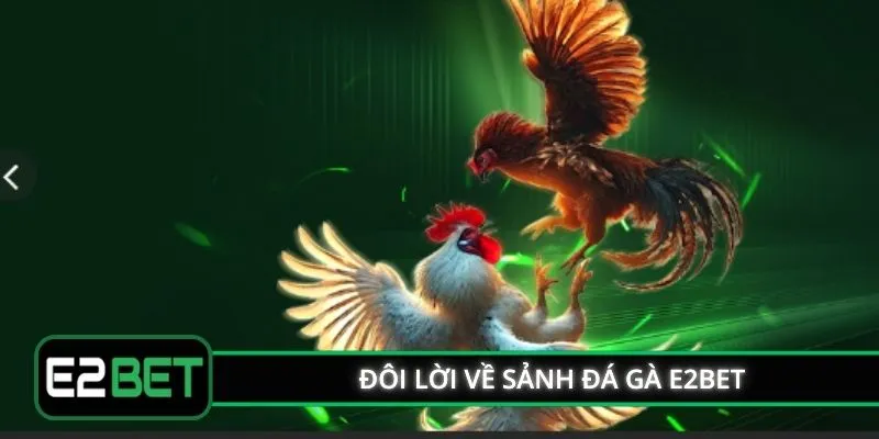 Đôi lời về sảnh đá gà E2BET