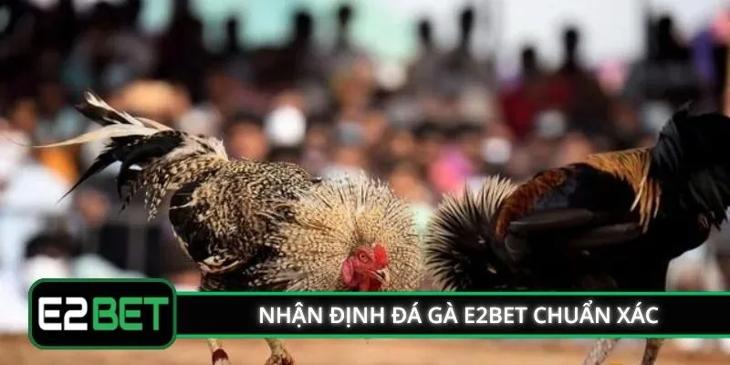 Nhận định đá gà E2BET chuẩn xác