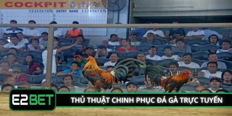 Thủ thuật chinh phục đá gà trực tuyến E2BET